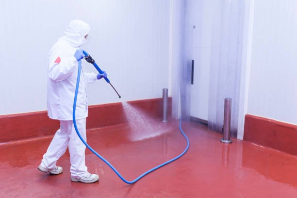 Best Restaurant Pressure Washing  in Abram, TX